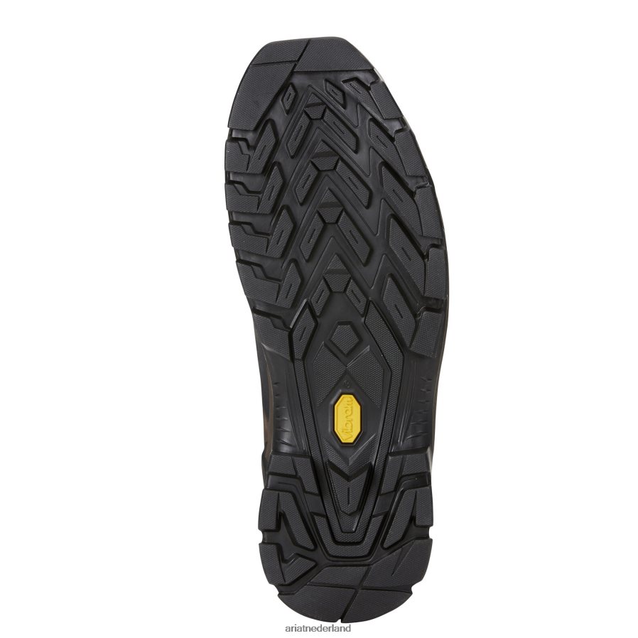 bitter bruin Catalyst VX Defiant 8