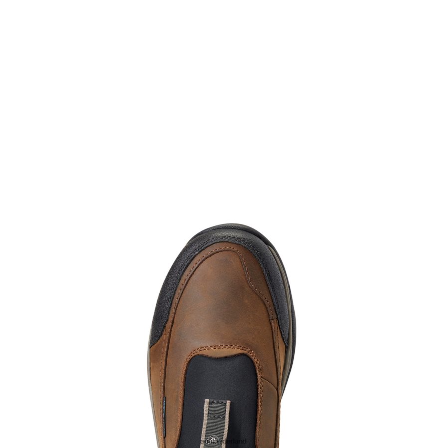 olieachtig verweerd bruin terreingemak waterdicht Ariat Heren schoenen PJ26LN392