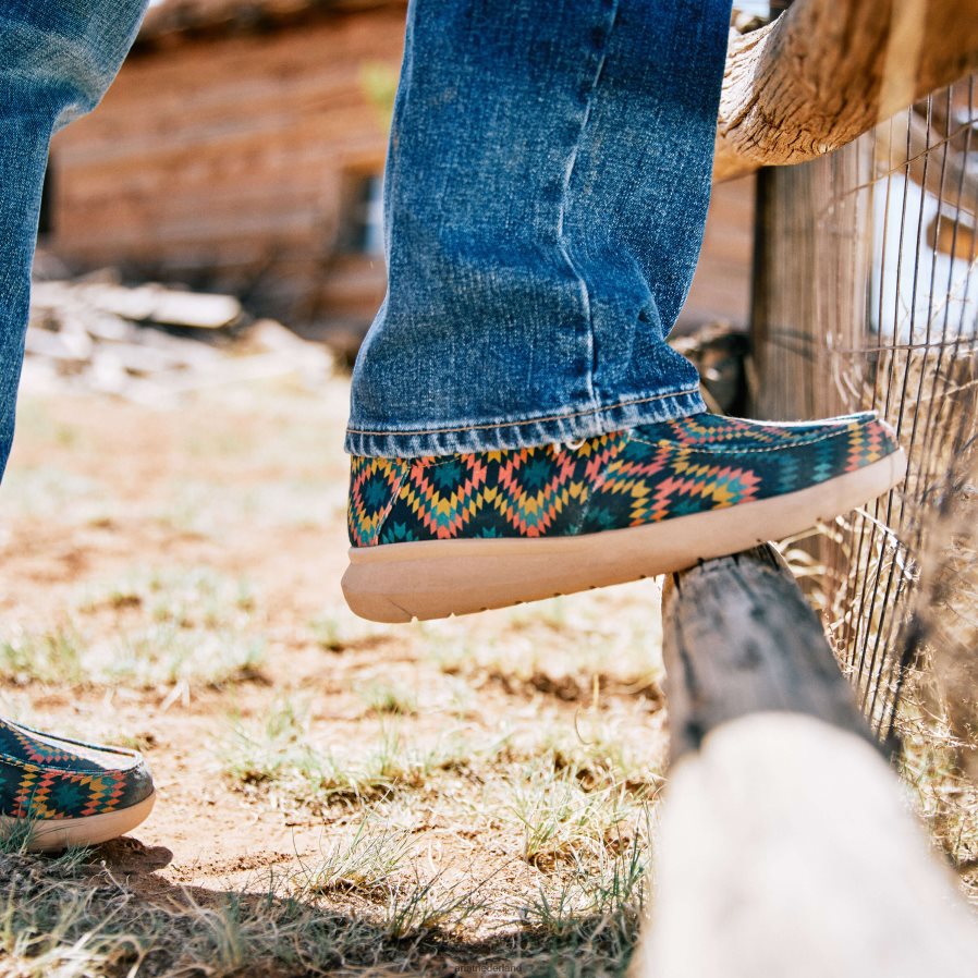 blauw zuidwesten hihi 1 Ariat Heren schoenen PJ26LN425