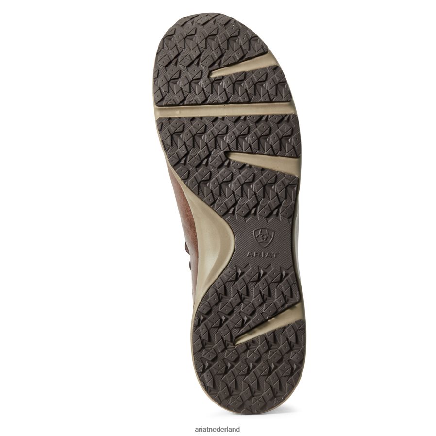 cowboybruin heethoofd Ariat Heren schoenen PJ26LN447