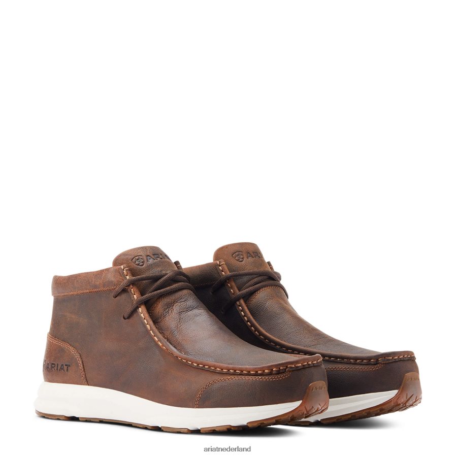 zuring knapperig heethoofd Ariat Heren schoenen PJ26LN449