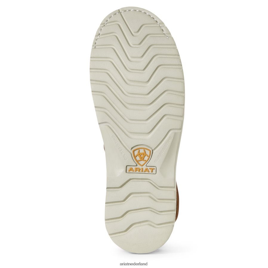 gouden grizzly wapeningswig 6