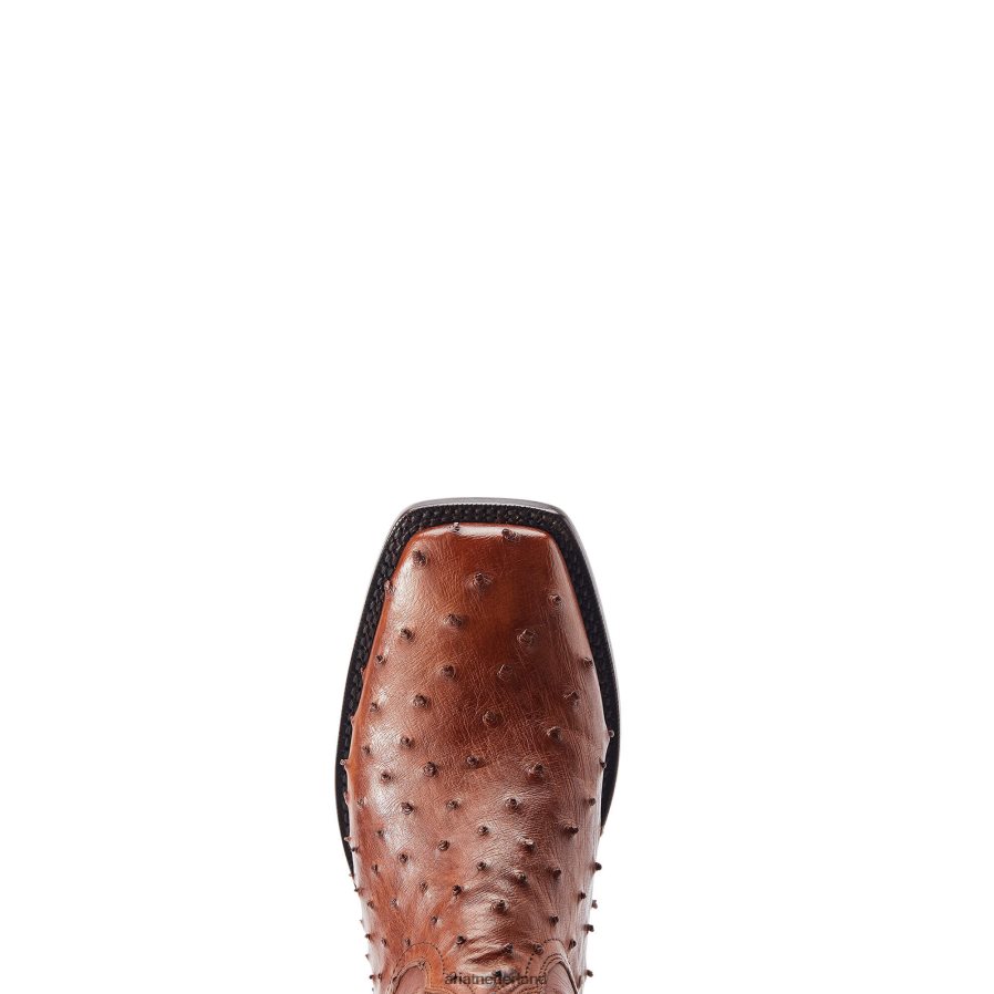 bourbon struisvogel met volledige veer bassett Ariat Heren schoenen PJ26LN162