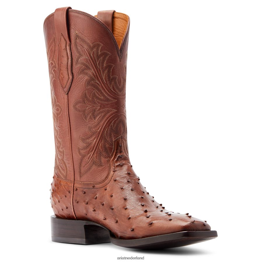 bourbon struisvogel met volledige veer bassett Ariat Heren schoenen PJ26LN162