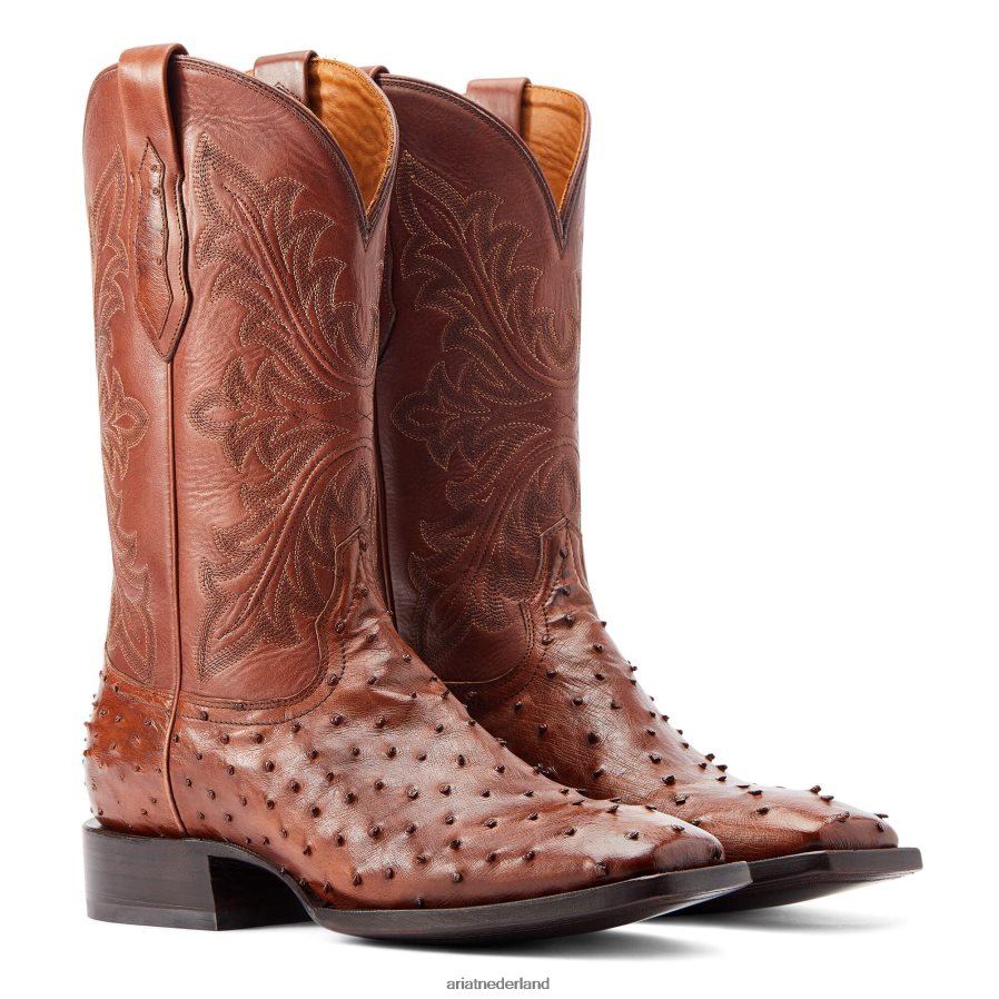 bourbon struisvogel met volledige veer bassett Ariat Heren schoenen PJ26LN162