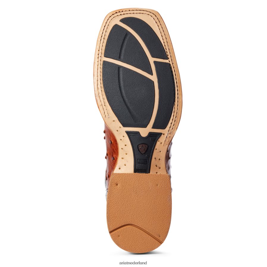 brandewijn volledige veer struisvogel galop westernlaars Ariat Heren schoenen PJ26LN138