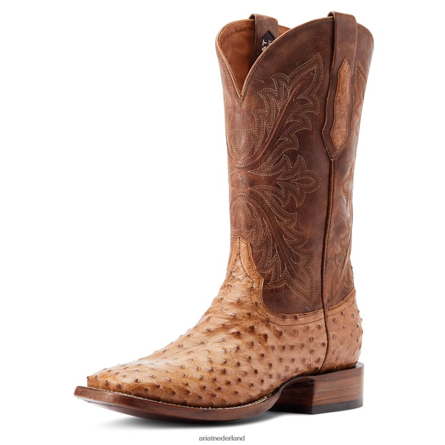 daim volledige ganzenveer struisvogel bassett Ariat Heren schoenen PJ26LN111