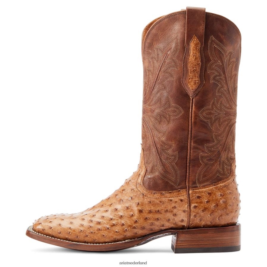 daim volledige ganzenveer struisvogel bassett Ariat Heren schoenen PJ26LN111