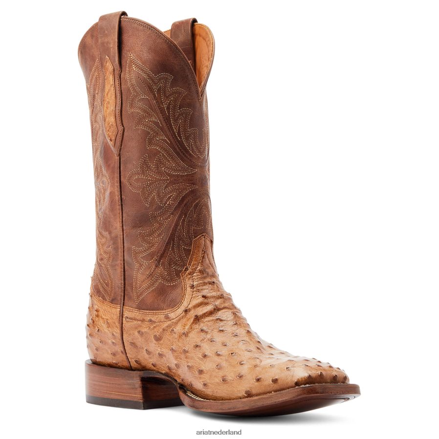 daim volledige ganzenveer struisvogel bassett Ariat Heren schoenen PJ26LN111