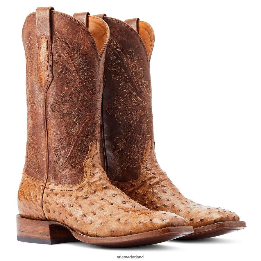 daim volledige ganzenveer struisvogel bassett Ariat Heren schoenen PJ26LN111