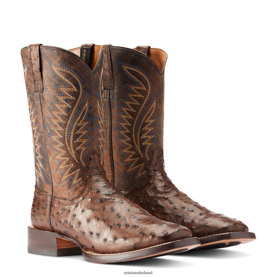 mokka volledige ganzenveer struisvogel galop westernlaars Ariat Heren schoenen PJ26LN144
