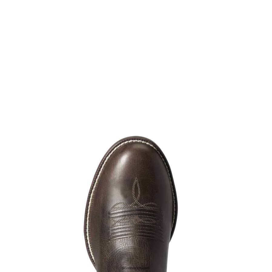 rieten stockman ultra-westerse laars Ariat Heren schoenen PJ26LN165