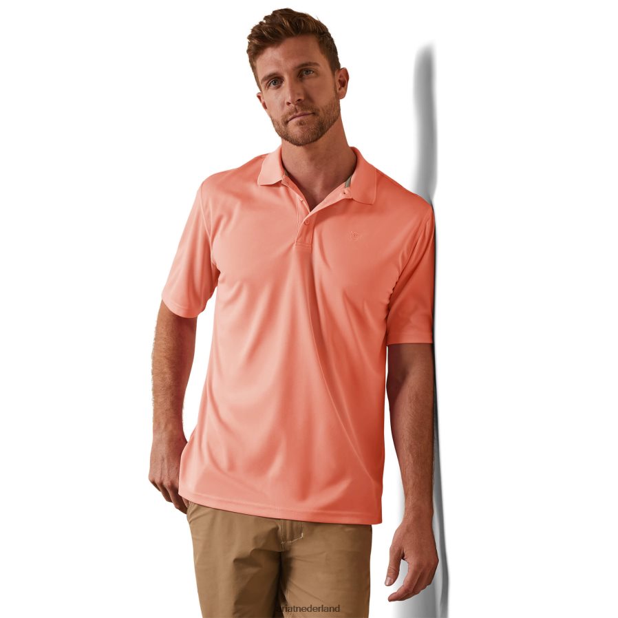 perzik-echo tek polo Ariat Heren toppen PJ26LN570