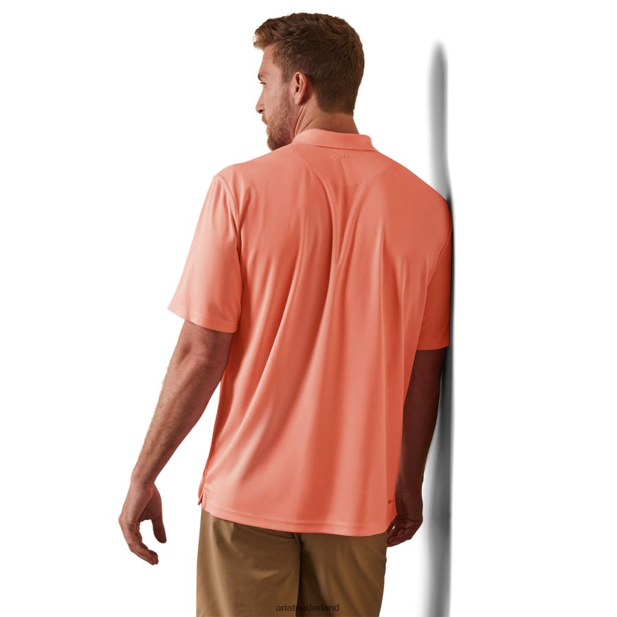 perzik-echo tek polo Ariat Heren toppen PJ26LN570