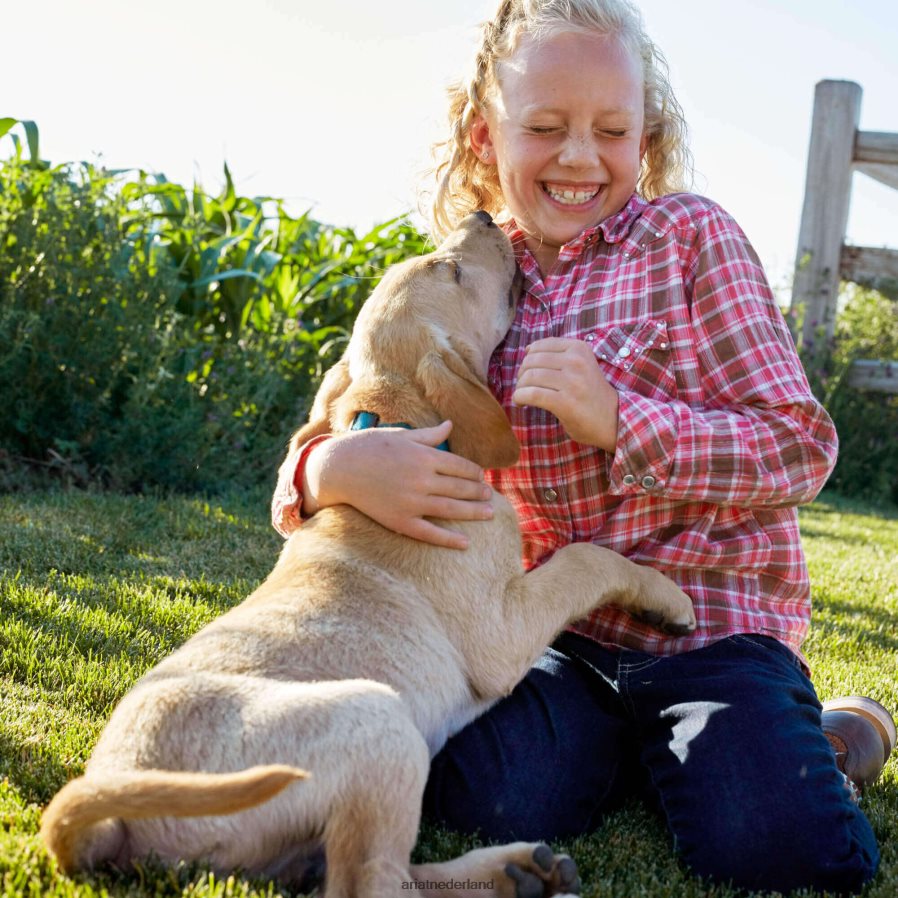 Dresden verstrengelde bootcut jeans Ariat kinderen collecties PJ26LN3988