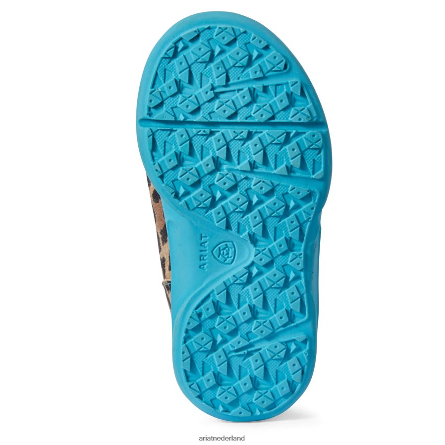 bruin kleine stompers celina heethoofd Ariat kinderen collecties PJ26LN3929