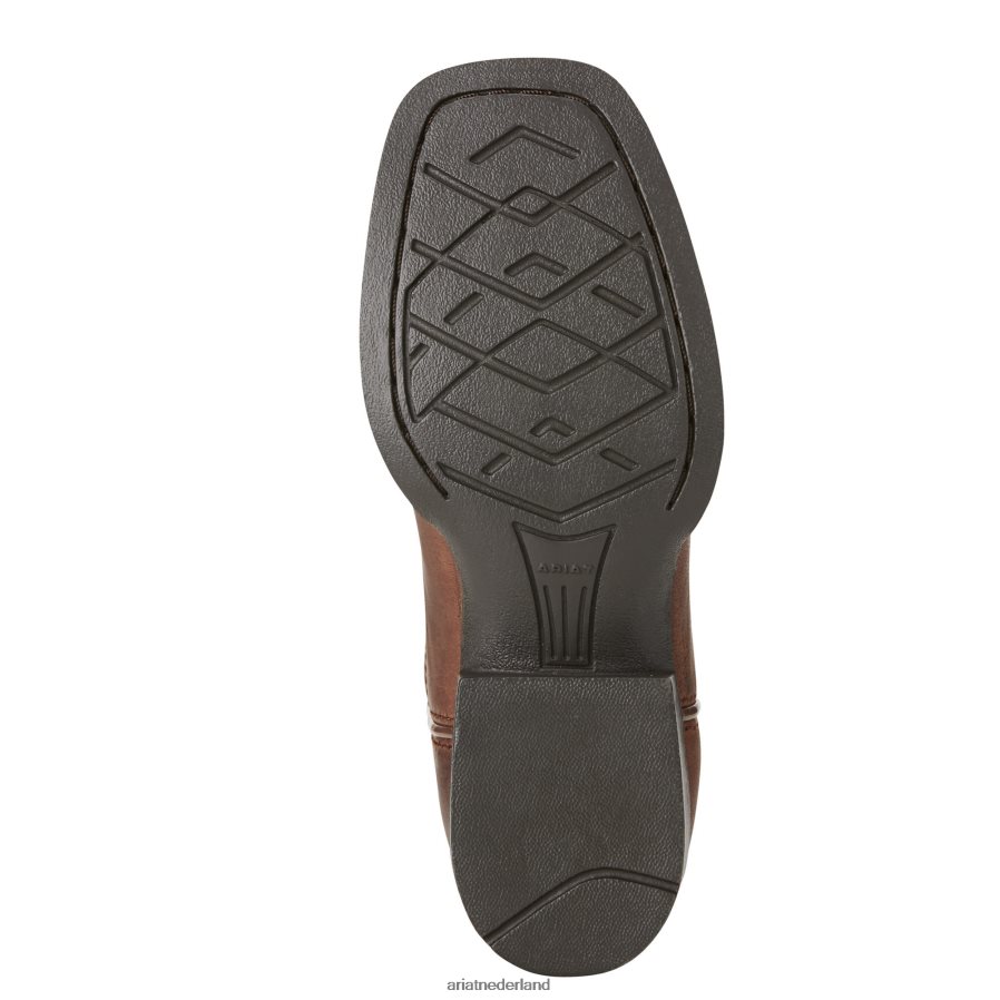 brutaal bruin Tycoon westerse laars Ariat kinderen schoenen PJ26LN3839