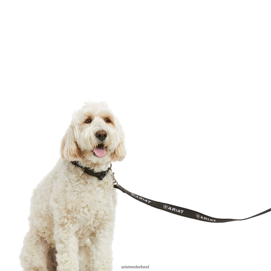 zwart/wapening grijs hondenriem Ariat unisex accessoires PJ26LN2013