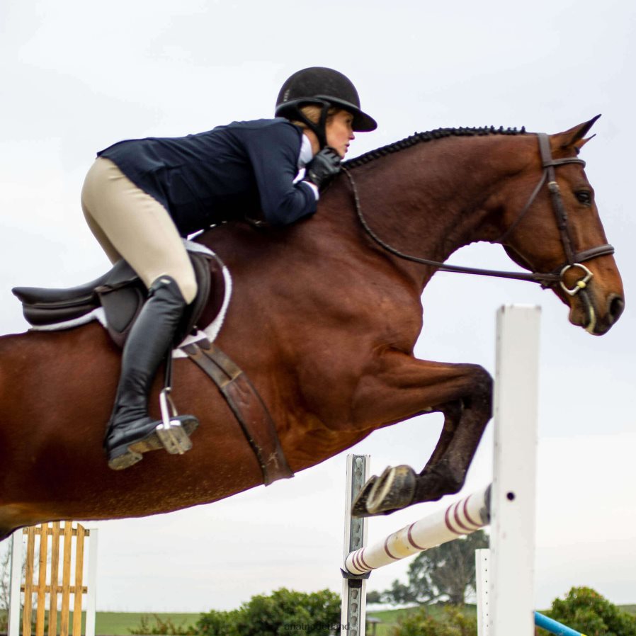 bruinen speranza kniestuk stuitligging Ariat vrouwen bodems PJ26LN2749