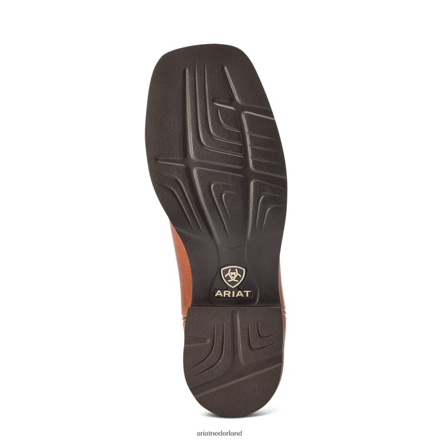 gekruide cider delilah westerse laars Ariat vrouwen schoenen PJ26LN2164