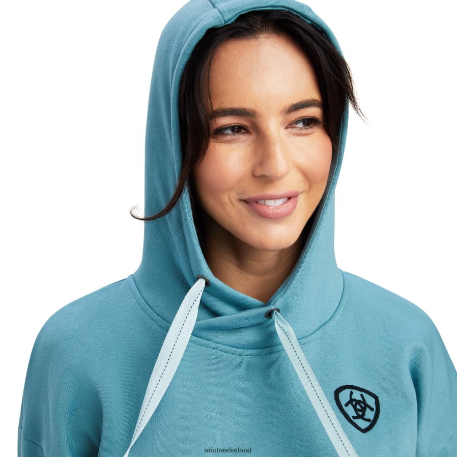 arctische heide raber hoodie Ariat vrouwen topjes PJ26LN3395