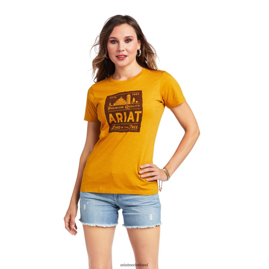 buckhorn heide landbouwgrond t-shirt Ariat vrouwen topjes PJ26LN2936