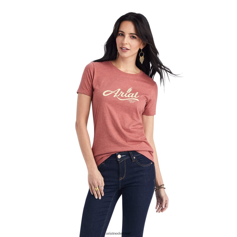 rode kleiheide Tarwe script T-shirt Ariat vrouwen topjes PJ26LN2847